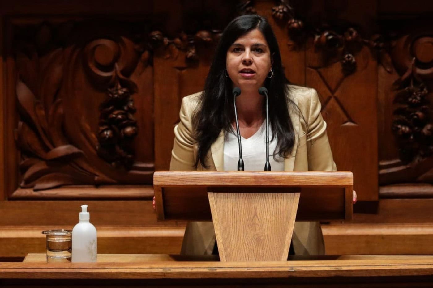 25 Abril: PAN adverte que direitos estão a ser postos em causa e pede que se defenda "voz de Abril"&nbsp;