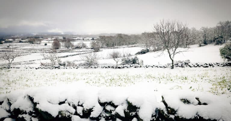 Braga em aviso amarelo por queda de neve esta sexta-feira e sábado