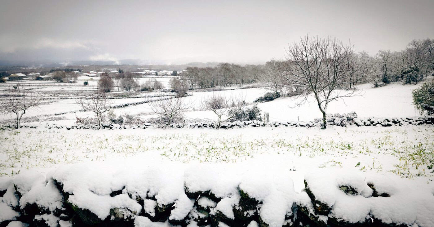 Braga em aviso amarelo por queda de neve esta sexta-feira e sábado