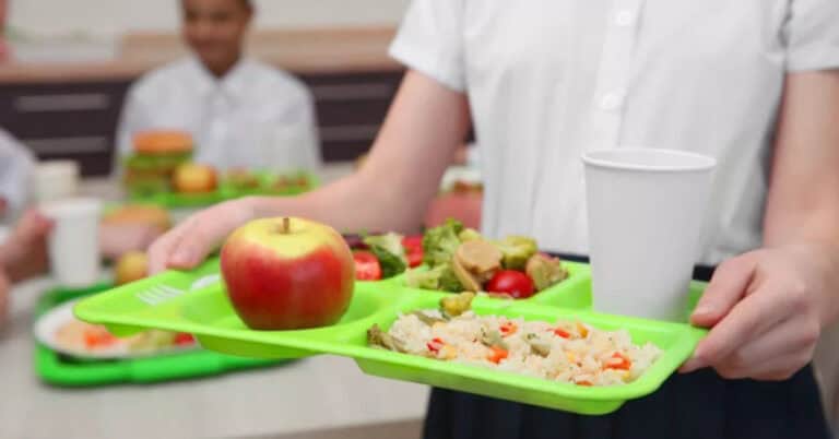 Cantinas escolares de Braga podem vir a ter refeição 100% vegetal