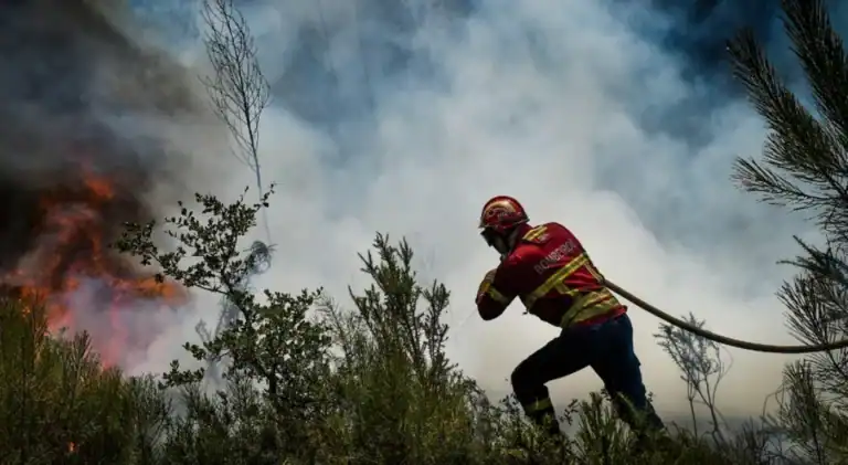 Meios de combate a incêndios florestais reforçados a partir de hoje