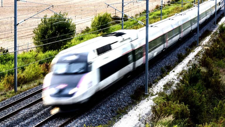 Eixo Atlântico não permitirá "qualquer marcha atrás" na alta velocidade Lisboa-Galiza