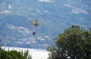 Autarca de Terras de Bouro critica ausência de meios aéreos ligeiros no Cávado