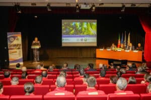 Cávado reclama meios aéreos para combate inicial a incêndios florestais&nbsp;