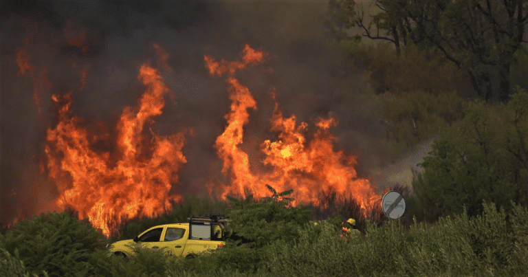 IPMA coloca Braga e Guimarães em perigo elevado de incêndio