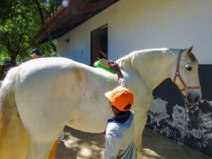 Quinta Pedagógica volta a desenvolver programa de férias de Verão