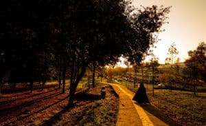 UMinho continua entre as 300 instituições mais sustentáveis do mundo