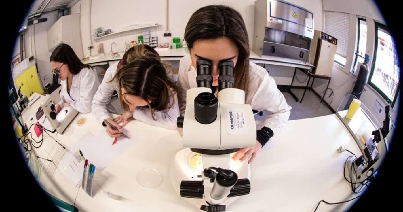 PS recupera projetos de lei para a ciência que não sobreviveram à queda do Governo