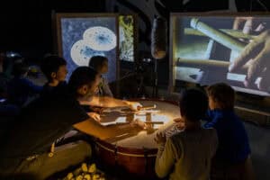 Circuito celebra 5.º aniversário com 25 iniciativas entre setembro e dezembro