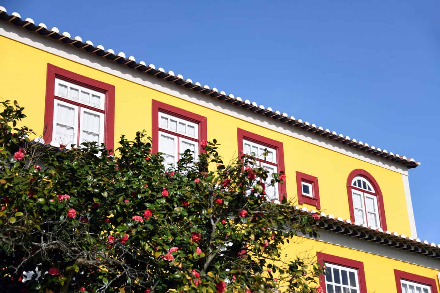 Famalicão lança prémio literário Camilo Castelo Branco para galardoar as melhores obras em português