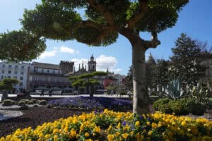 Aquisição de 234 veículos mais verdes impulsiona cumprimento das metas do PMEB