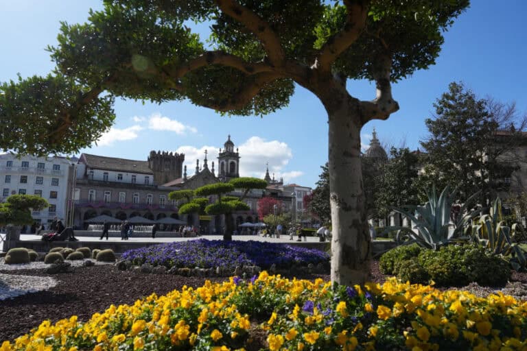 Aquisição de 234 veículos mais verdes impulsiona cumprimento das metas do PMEB