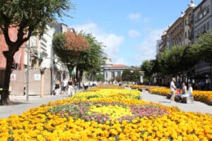 Termómetros chegam hoje aos 40 graus em Braga
