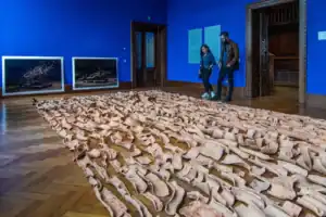 Candidaturas para representar Portugal na Bienal de Veneza deixam de ser por convite&nbsp;