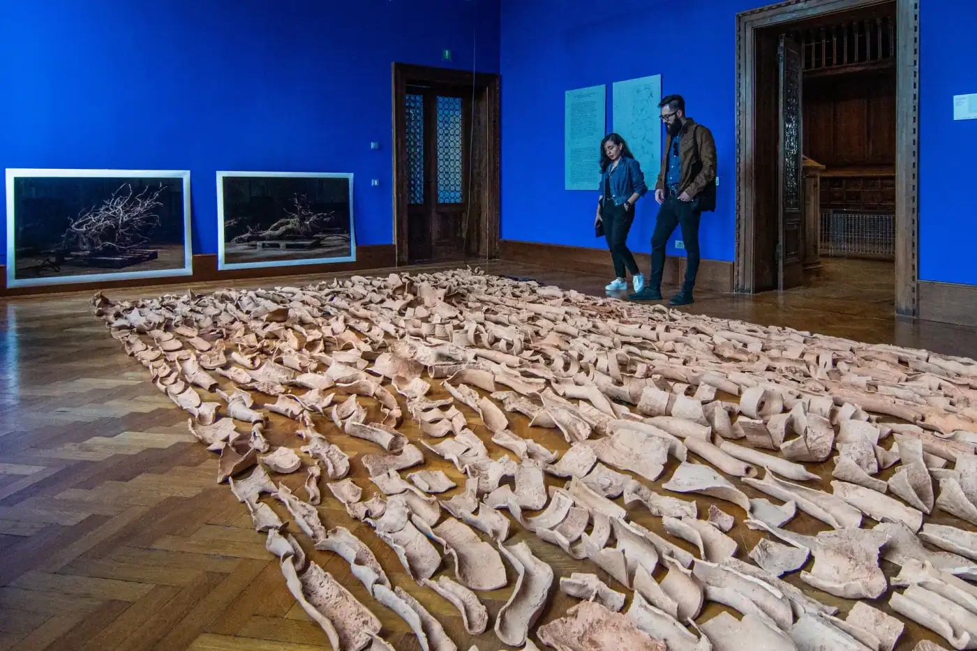 Candidaturas para representar Portugal na Bienal de Veneza deixam de ser por convite