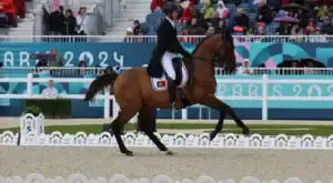 Paris2024. Cavaleiro português Manuel Grave encontra-se bem - COP&nbsp;