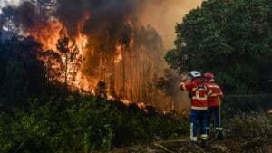 Google lança ferramenta de mapeamento de incêndios florestais em Portugal e mais 14 países&nbsp;