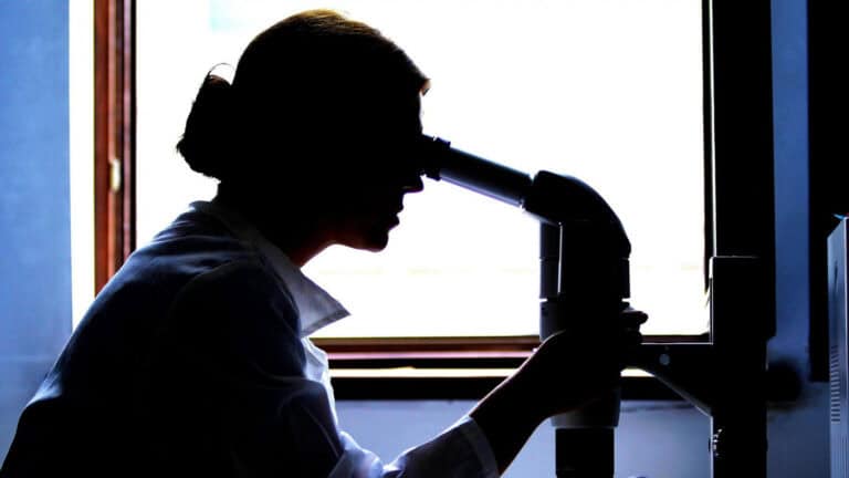 FCT vai cofinanciar ingresso na carreira de mais 100 cientistas que se somam aos mil iniciais&nbsp;