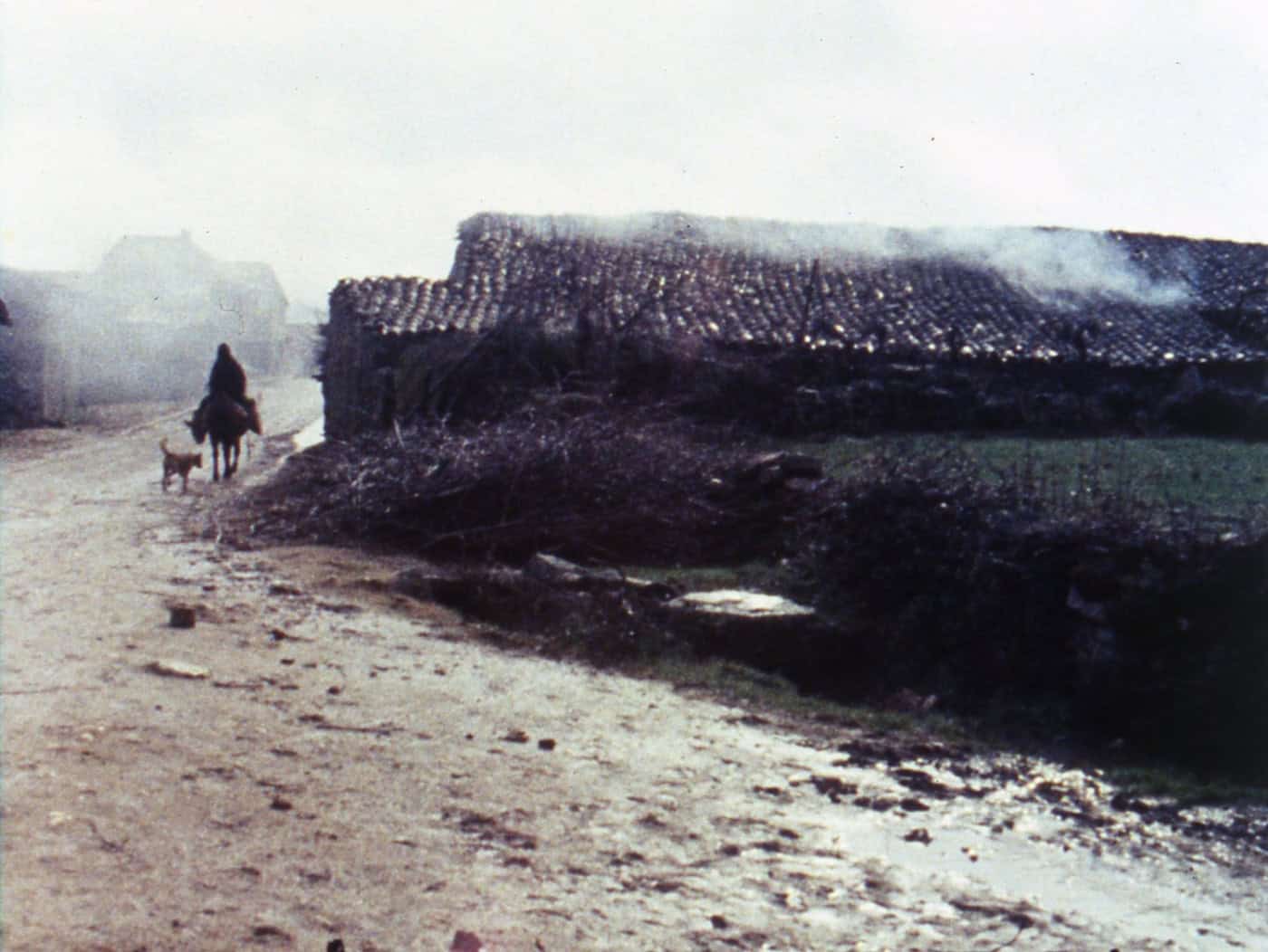 Theatro Circo revisita a obra de Margarida Cordeiro e António Reis