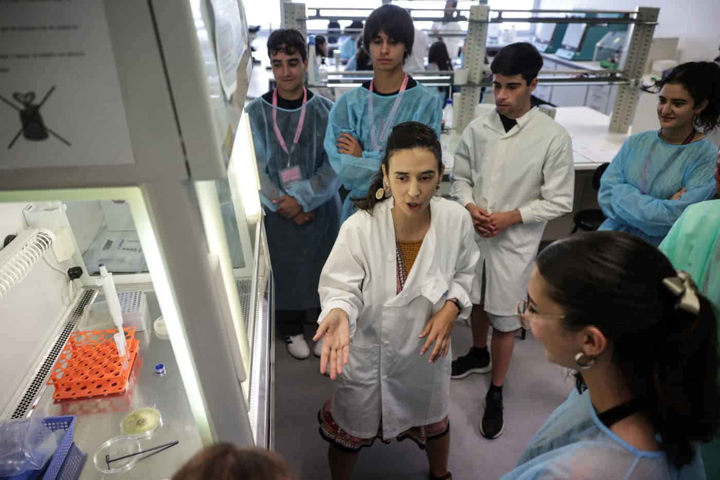 Número de candidatos ao ensino superior desce para 58 mil na 1.ª fase