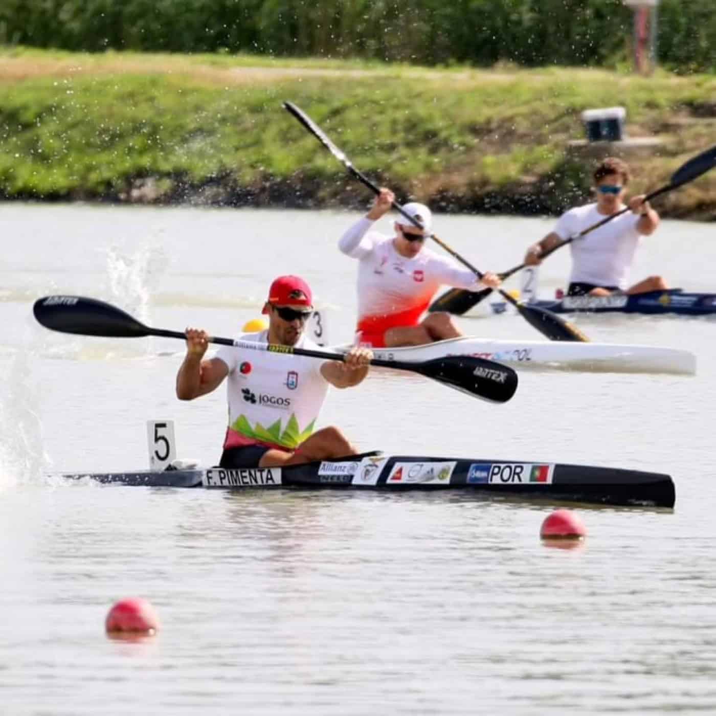 Fernando Pimenta e Teresa Portela são dois dos canoístas em ação esta 4ª feira
