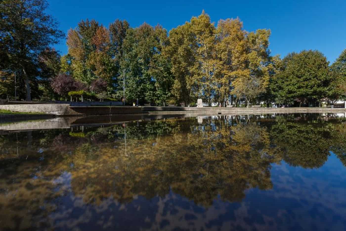 Famalicão começa no fim-de-semana a festejar o Dia Internacional da Juventude