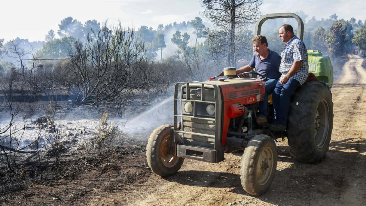 Agosto é já o mês com mais área ardida em 2024