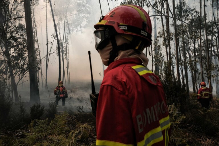 Portugal tem 13.700 bombeiros profissionais e é dos países da UE que menos investe contra fogos&nbsp;