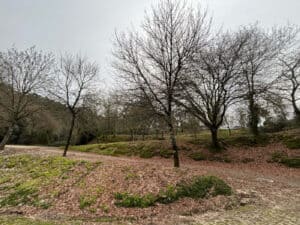 'Encontros com o Património' promovem reflexão sobre as ‘Voltas de Macada’