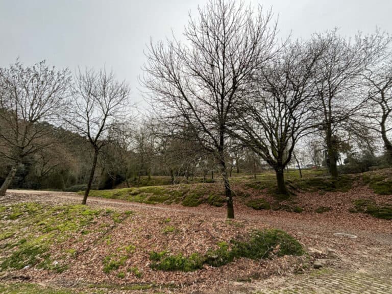 'Encontros com o Património' promovem reflexão sobre as ‘Voltas de Macada’