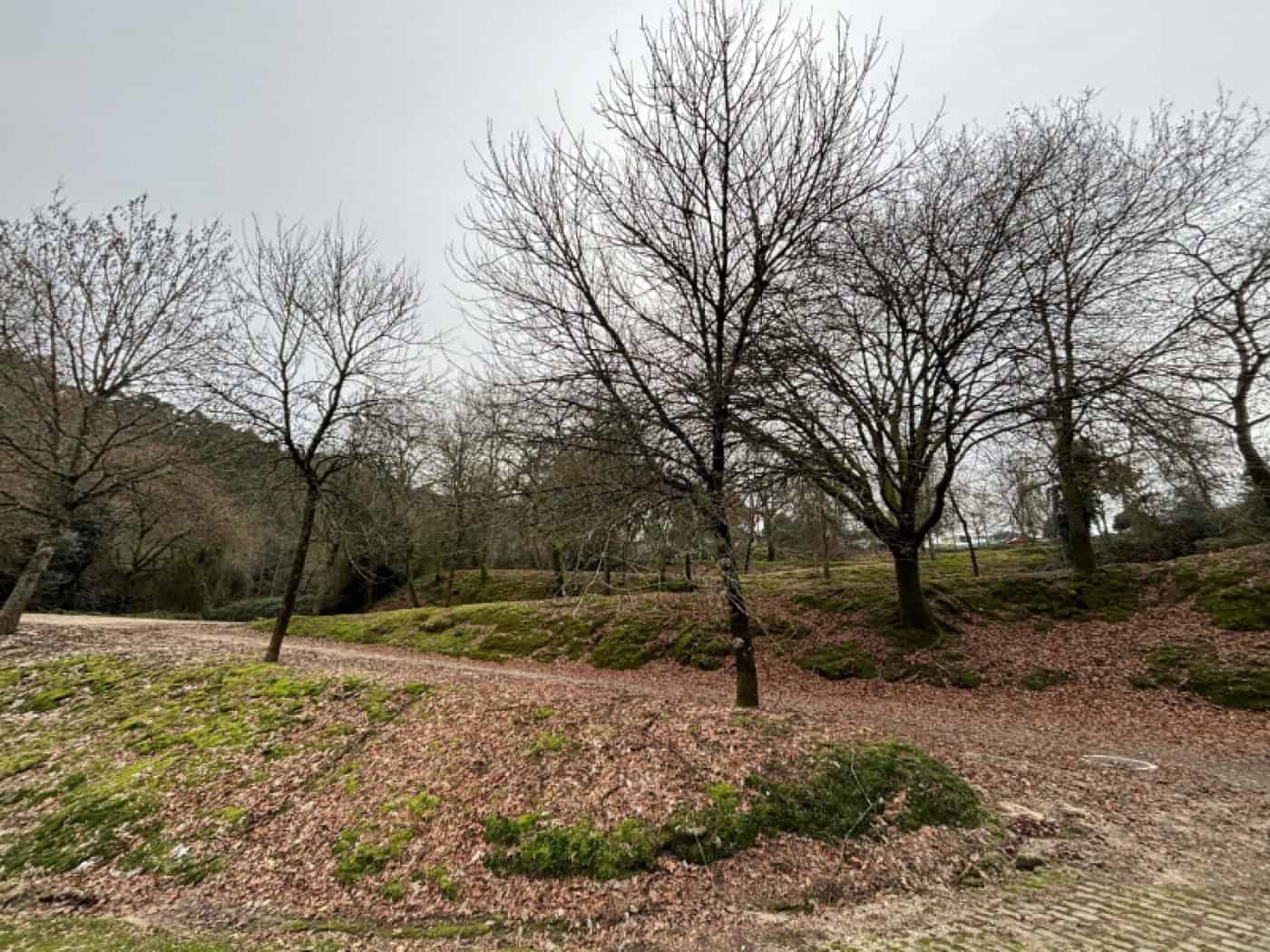 'Encontros com o Património' promovem reflexão sobre as ‘Voltas de Macada’