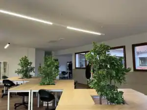 RUMo à abertura. AAUMinho promove hoje primeira festa académica do ano