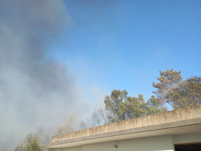 Incêndio em Sequeira (Monte das Caldas) ainda lavra ao início da noite desta sexta-feira