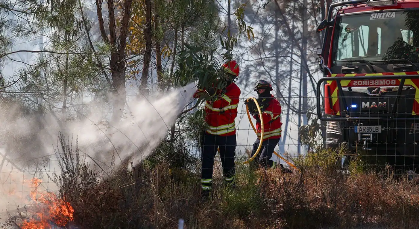 Alerta vermelho e laranja. Proteção Civil elevou estado de alerta especial para incêndios florestais