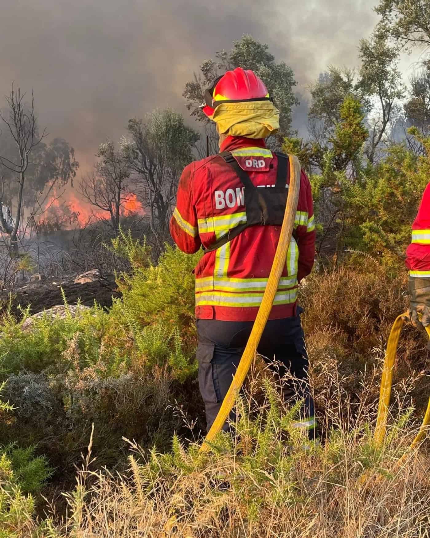 Incêndio de Sequeira está em fase de rescaldo