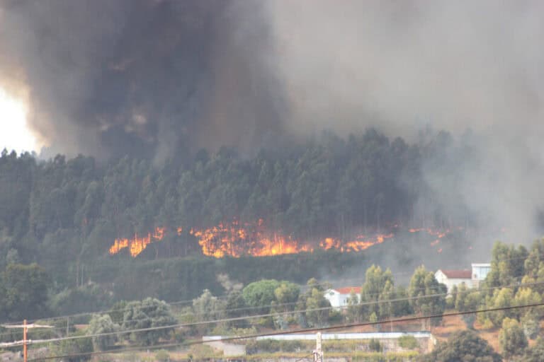 Está controlado incêndio de Famalicão que obrigou a cortar estrada nacional