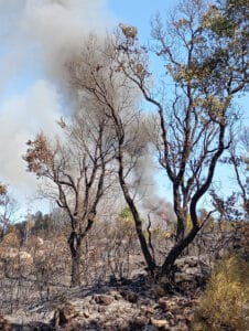 Distrito de Braga em perigo máximo de incêndio esta segunda-feira