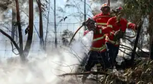 Fafe. Bombeiros controlaram fogo durante a madrugada&nbsp;