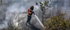 Três bombeiros mortos em Tábua&nbsp;