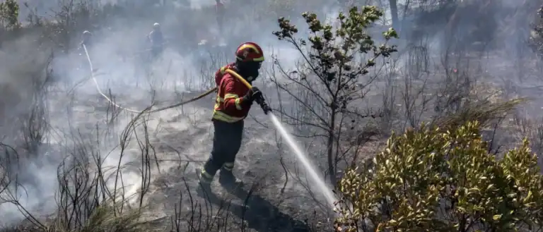 Três bombeiros mortos em Tábua&nbsp;
