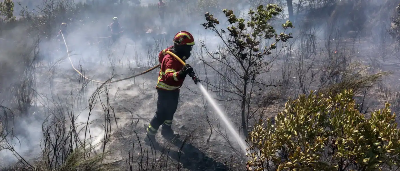 Três bombeiros mortos em Tábua