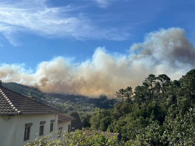 Mais de 106 mil hectares arderam em Portugal continental desde domingo