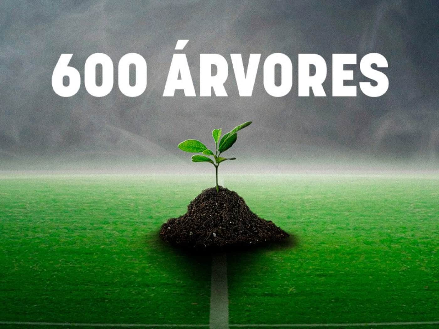 Golos do SC Braga na Madeira valem 600 novas árvores no país