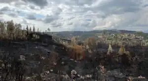 Investigação de incêndios. Equipa anunciada pelo Governo tem primeira reunião&nbsp;