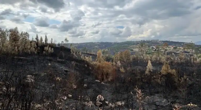 Investigação de incêndios. Equipa anunciada pelo Governo tem primeira reunião&nbsp;