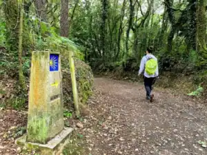 Peregrinos já percorrem novo caminho de Santiago entre Trás-os-Montes e Minho&nbsp;