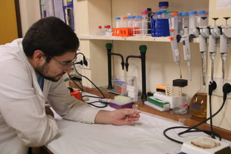 Investigadores da UMinho desenvolvem nanomaterial para combater o cancro