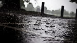 Cávado e Ave registaram 83&nbsp;ocorrências até às 10:00 devido ao mau tempo