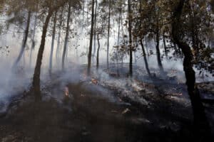 Incêndios. Conselho de Ministros aprovou medidas de apoio e recuperação