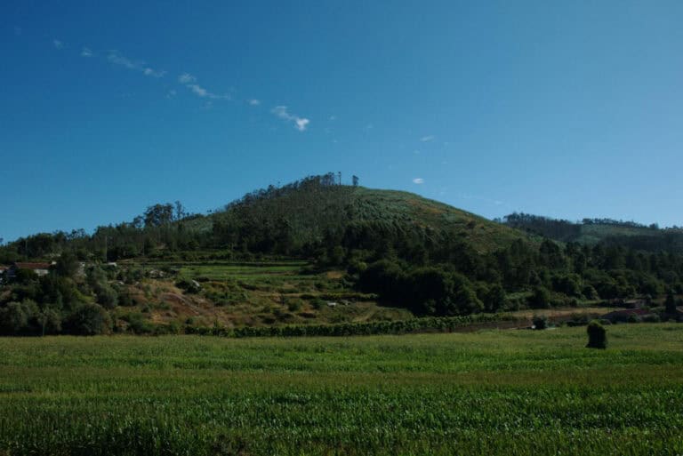 Associação Braga Mais quer "reavivar" o Castro de Monte Redondo